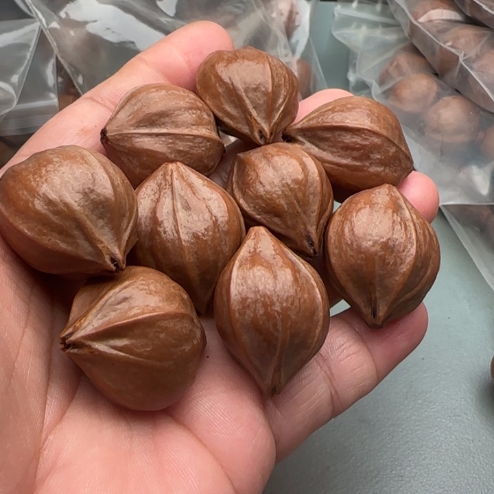 郑***巍橄榄核手串橄榄核原皮铁核四花