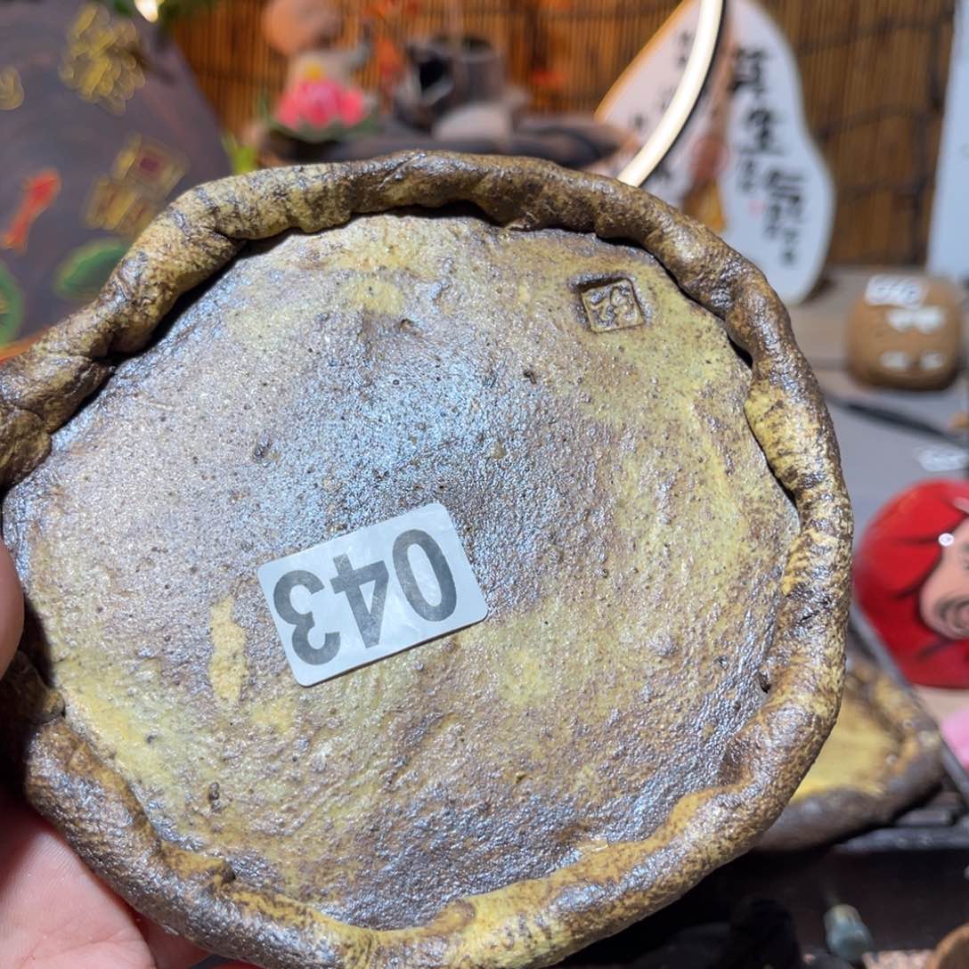 木村信弘柴烧保平