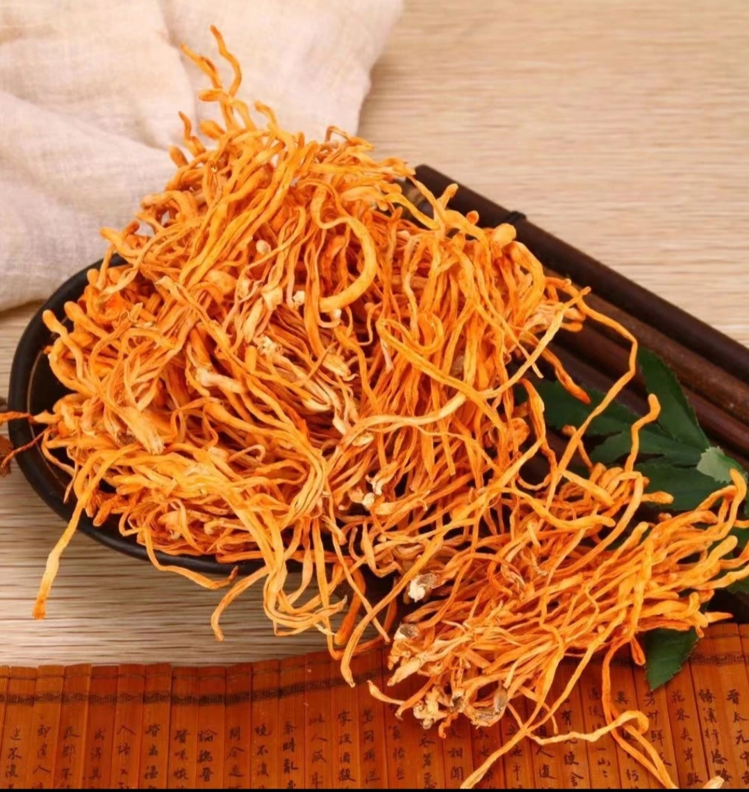 [仁人优选]虫草花干货香味圆润适合炖鸡煲汤炒菜凉拌