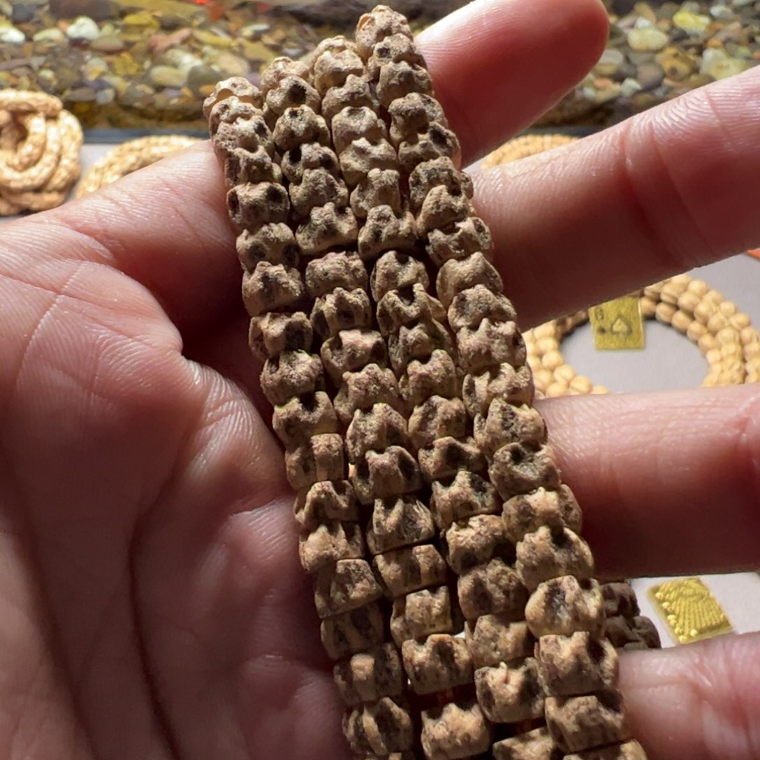 吊坠柏香籽/百香籽A3