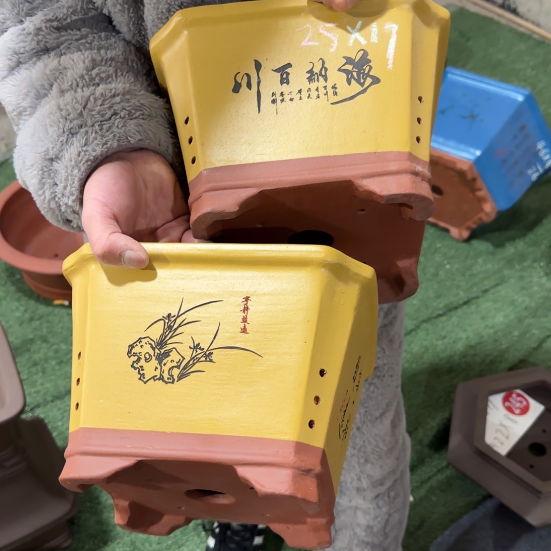 紫砂花盆呜呜呜呜