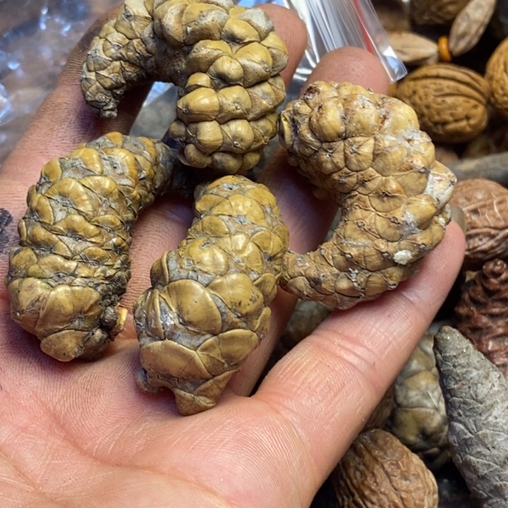 文玩核桃吊坠送两个259