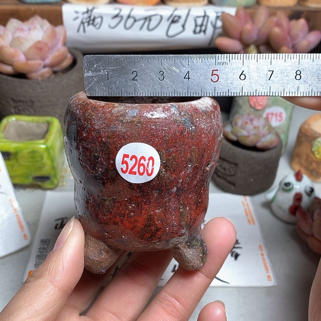 红陶拍5送一个小