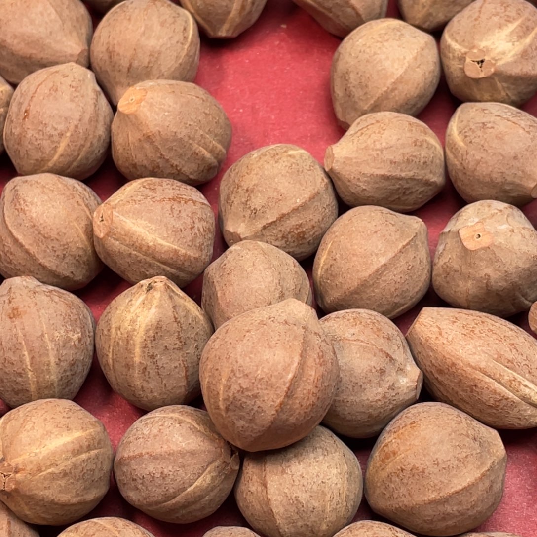 陈***希橄榄核手串/手链1