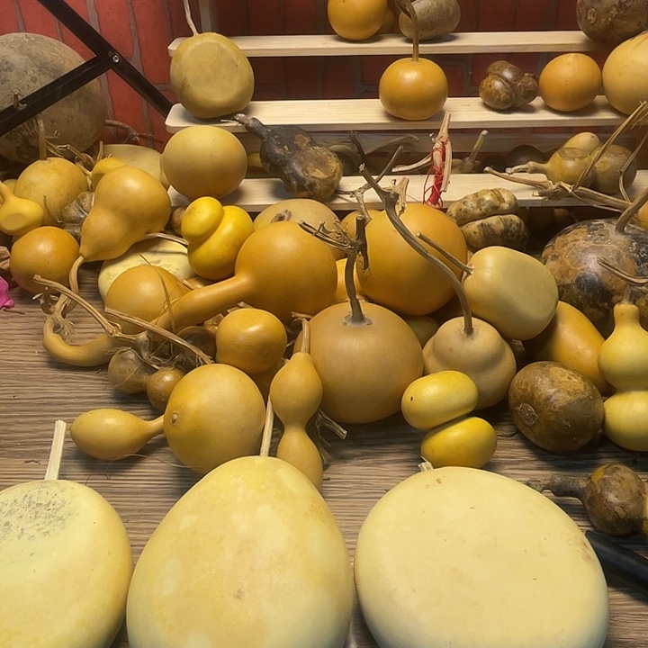 任***林羊羔毛哈哈哈哈哈哈哈哈哈姐姐