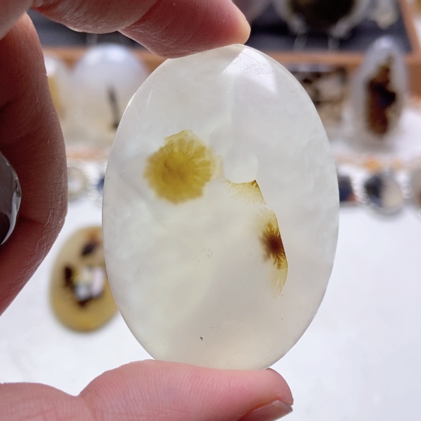 【闪购商品】玛瑙/玉髓颈饰未镶嵌