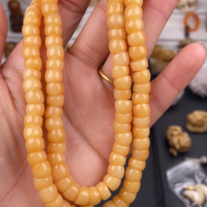 驼骨其他骆驼骨大肠0.8/108