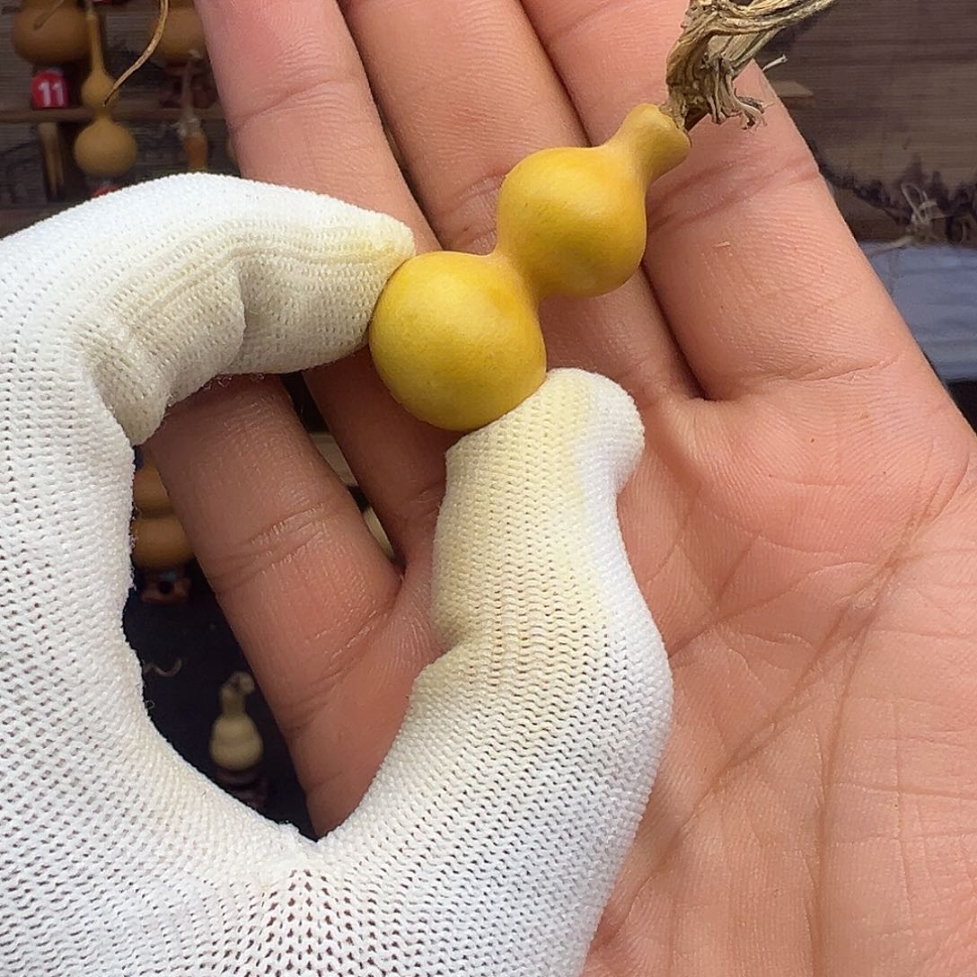 五***柳葫芦头的做法是用来做的吗