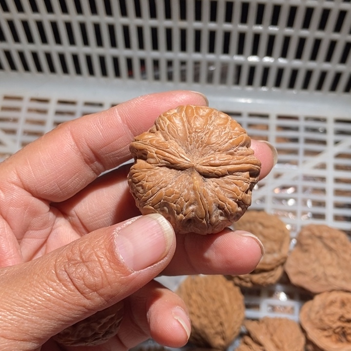 墨***玩核桃元宝尺寸39微黄