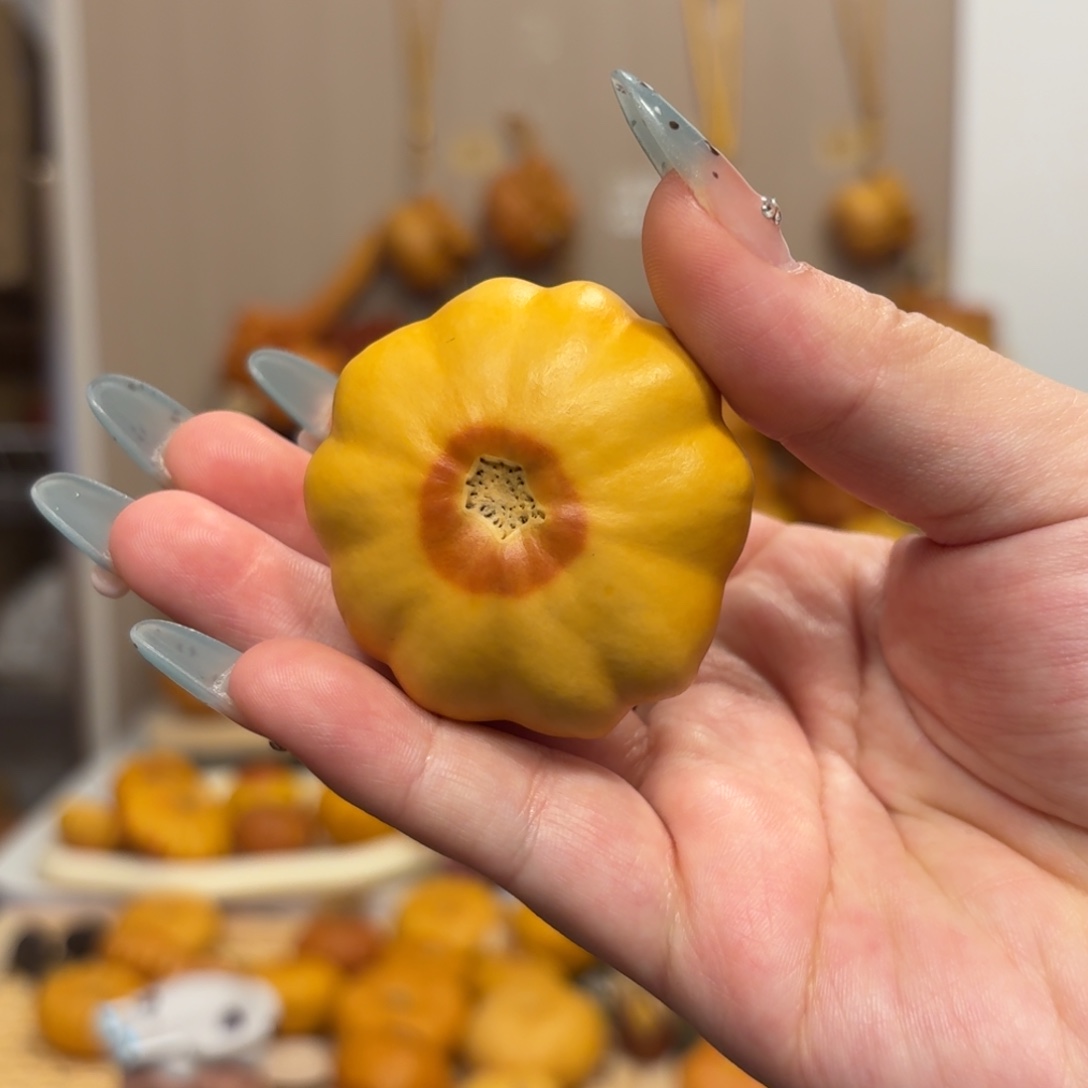 墨西哥葫芦双色小花饼