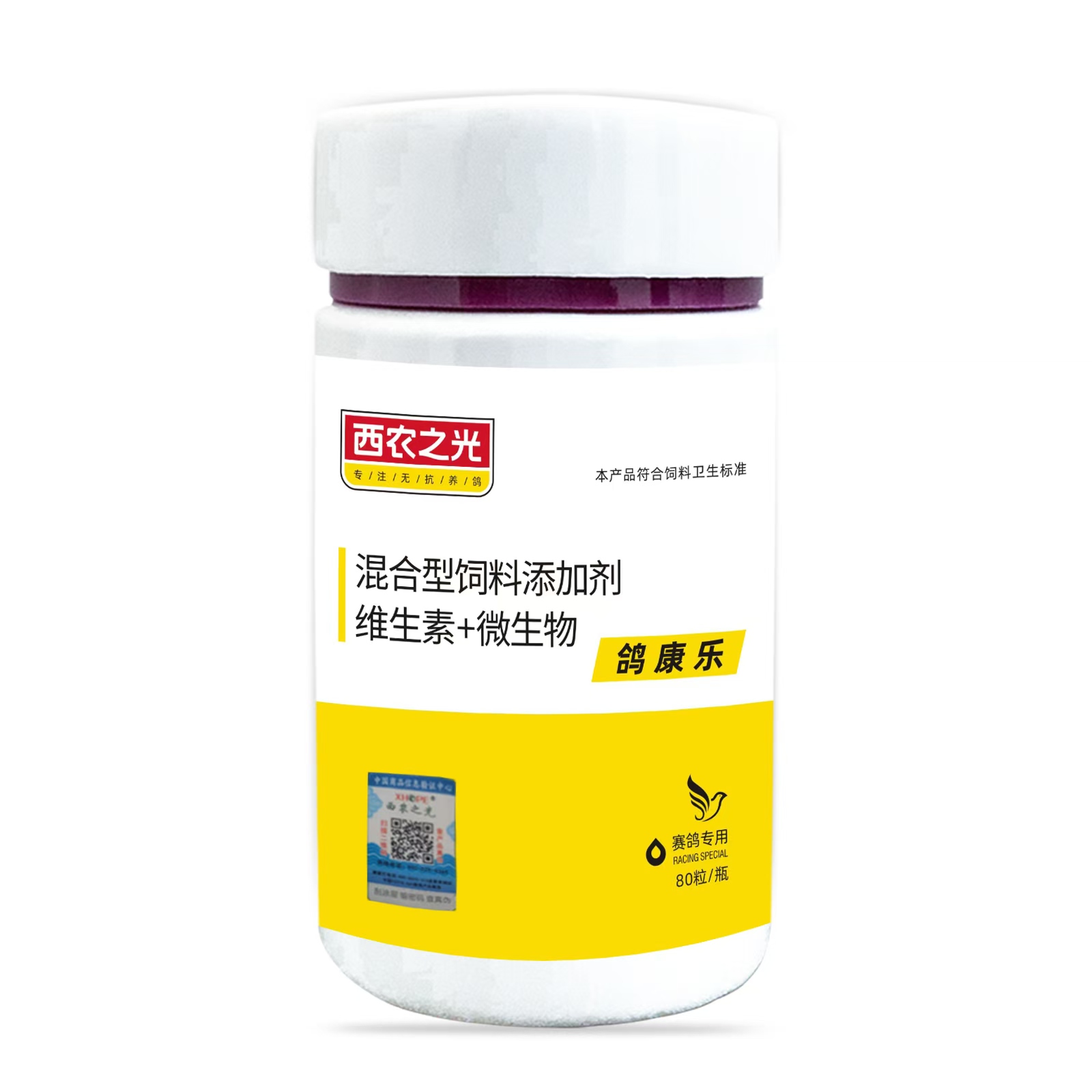 西农之光鸽康乐赛鸽种鸽