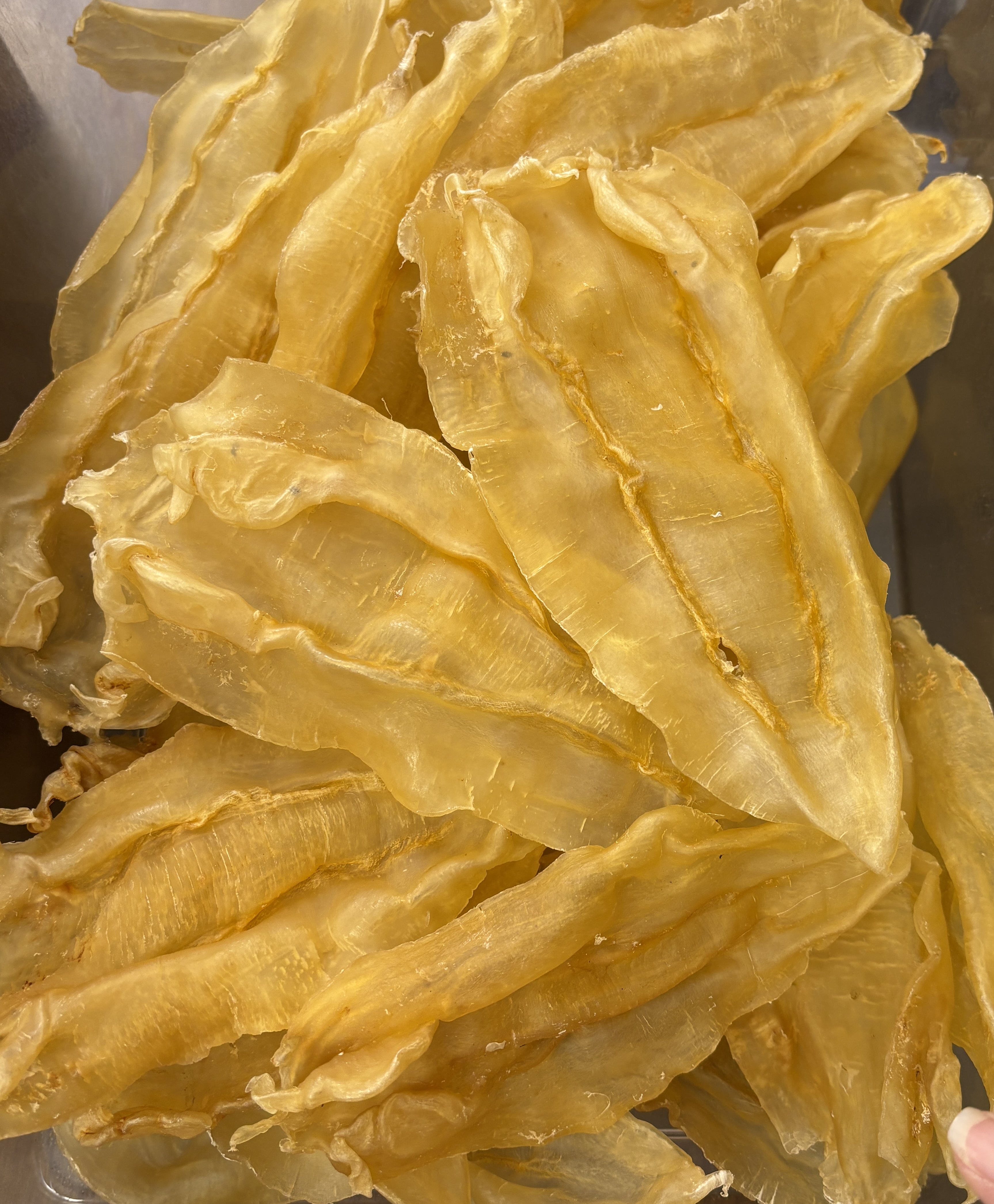 【鱼胶世家】北海苏公胶孕妇滋补