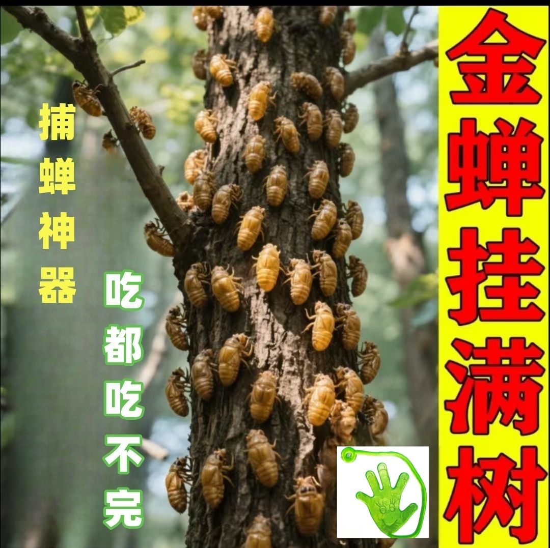 【知了猴】知了猴夏天户外捕捉知了猴神器包装好今拍名发