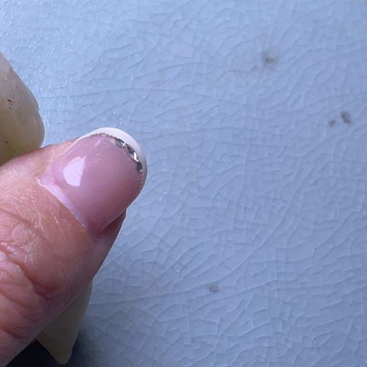 3***号瓷片瓷器瓷器瓷器瓷器