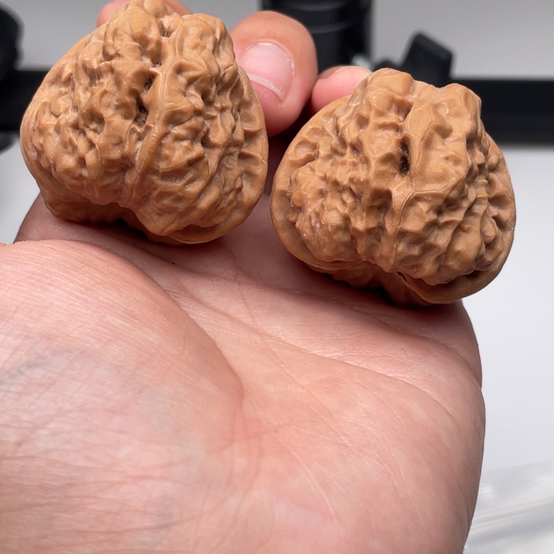 菩提籽类1478蛙蛙蛙38-41