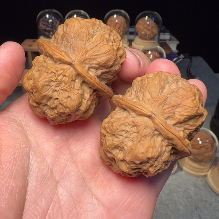 文玩核桃把件菊花蟾48mm