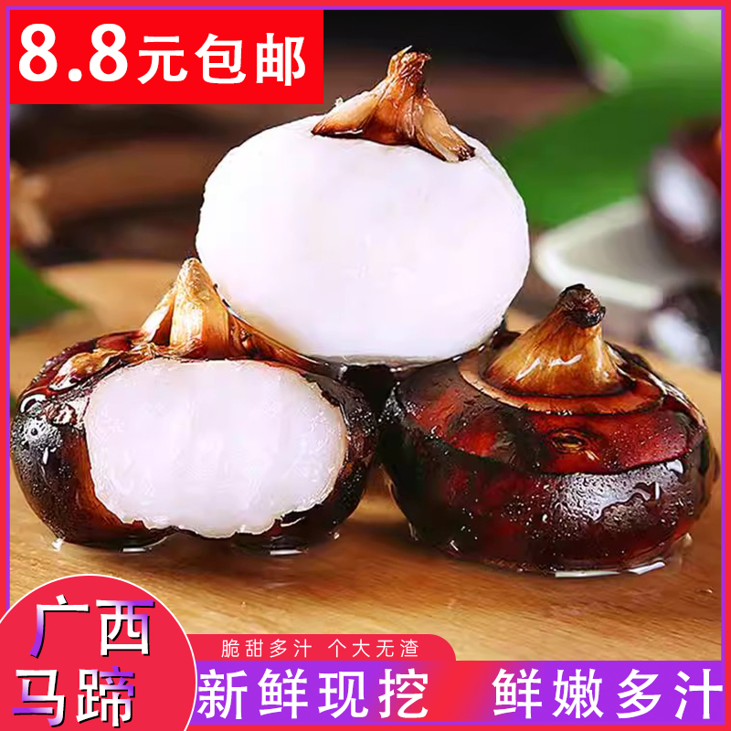 广西桂林荔浦马蹄水果荸荠新鲜现挖地梨脆甜农家特产