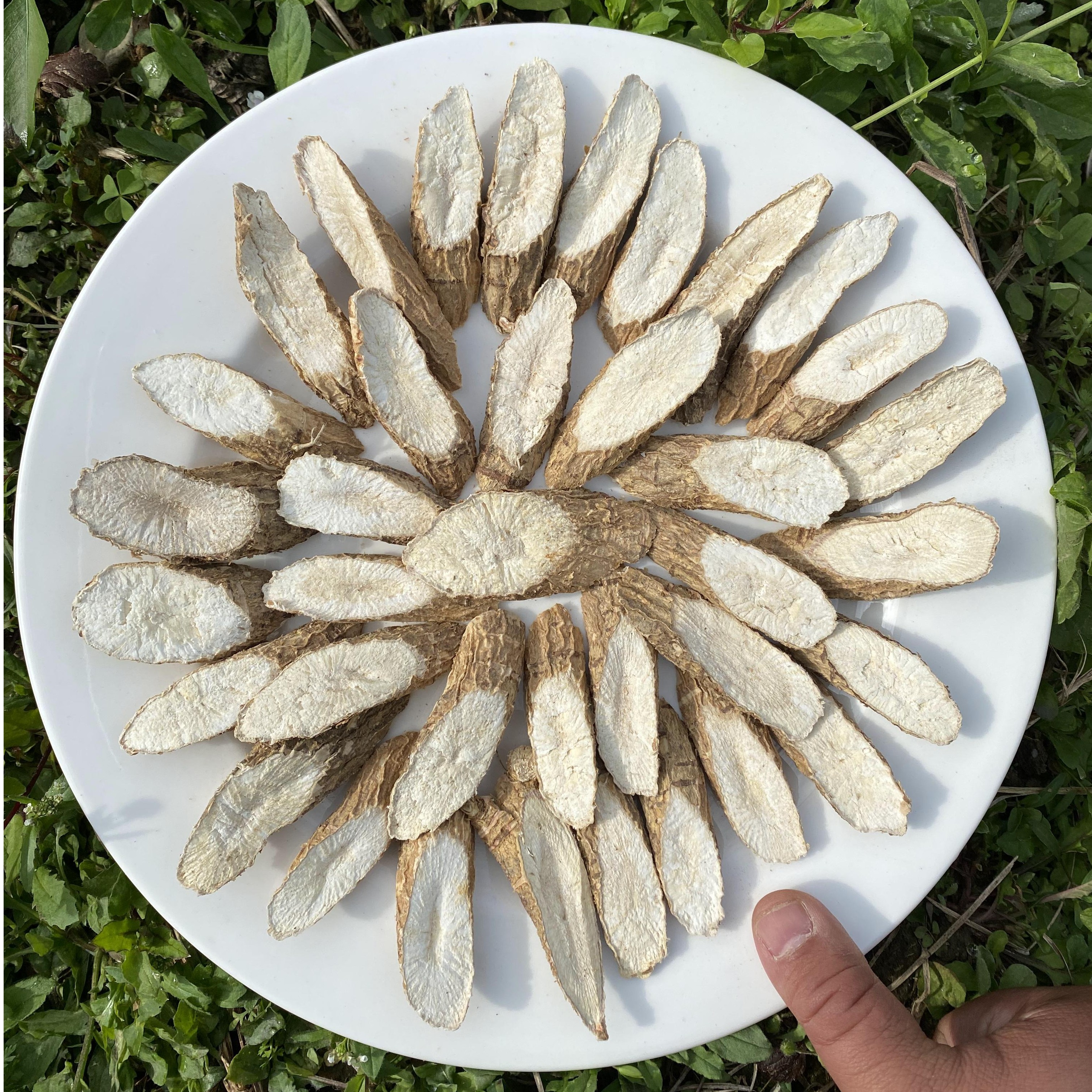 粉质牛大力薯搭配五指毛桃煲汤250克