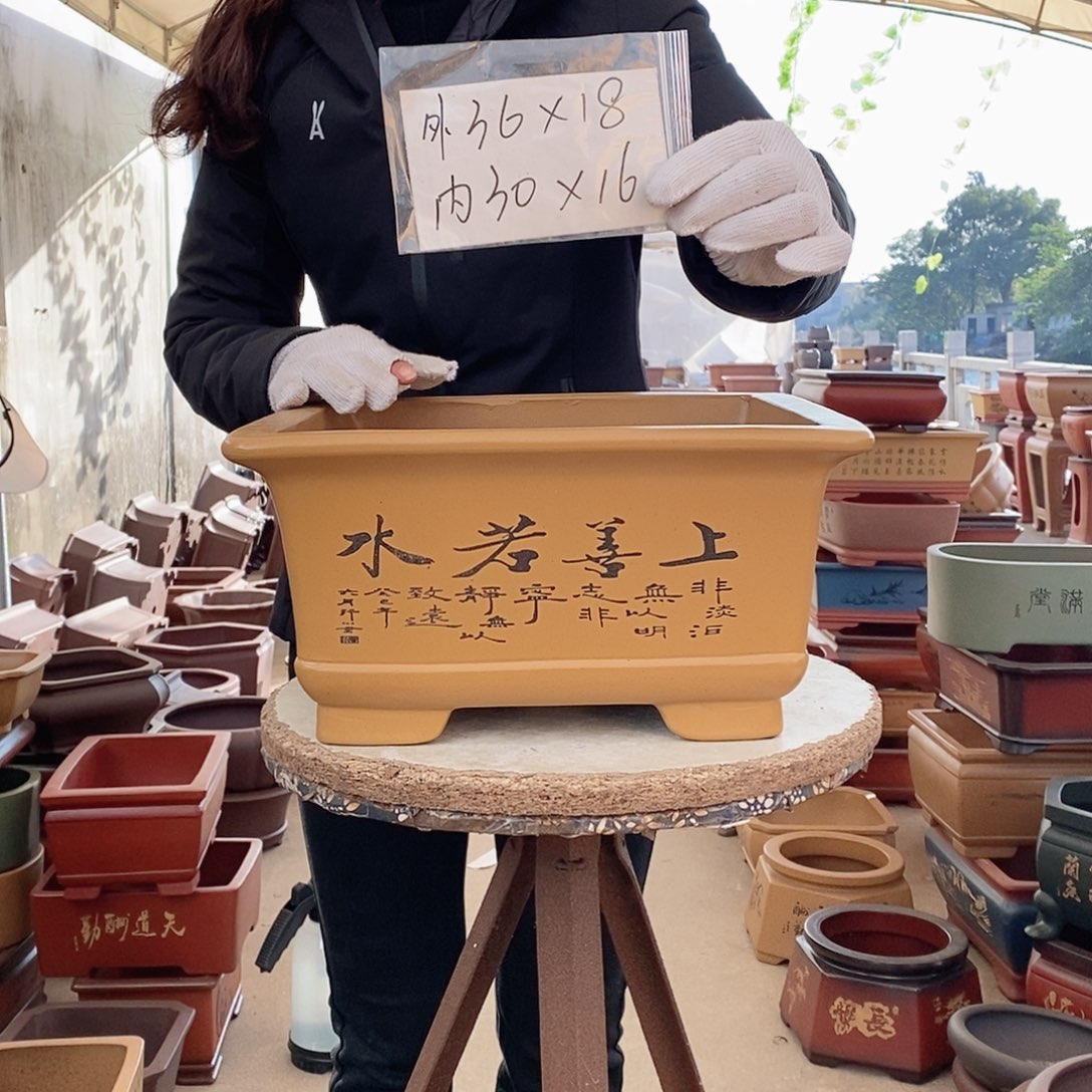 花盆紫砂紫砂花盆