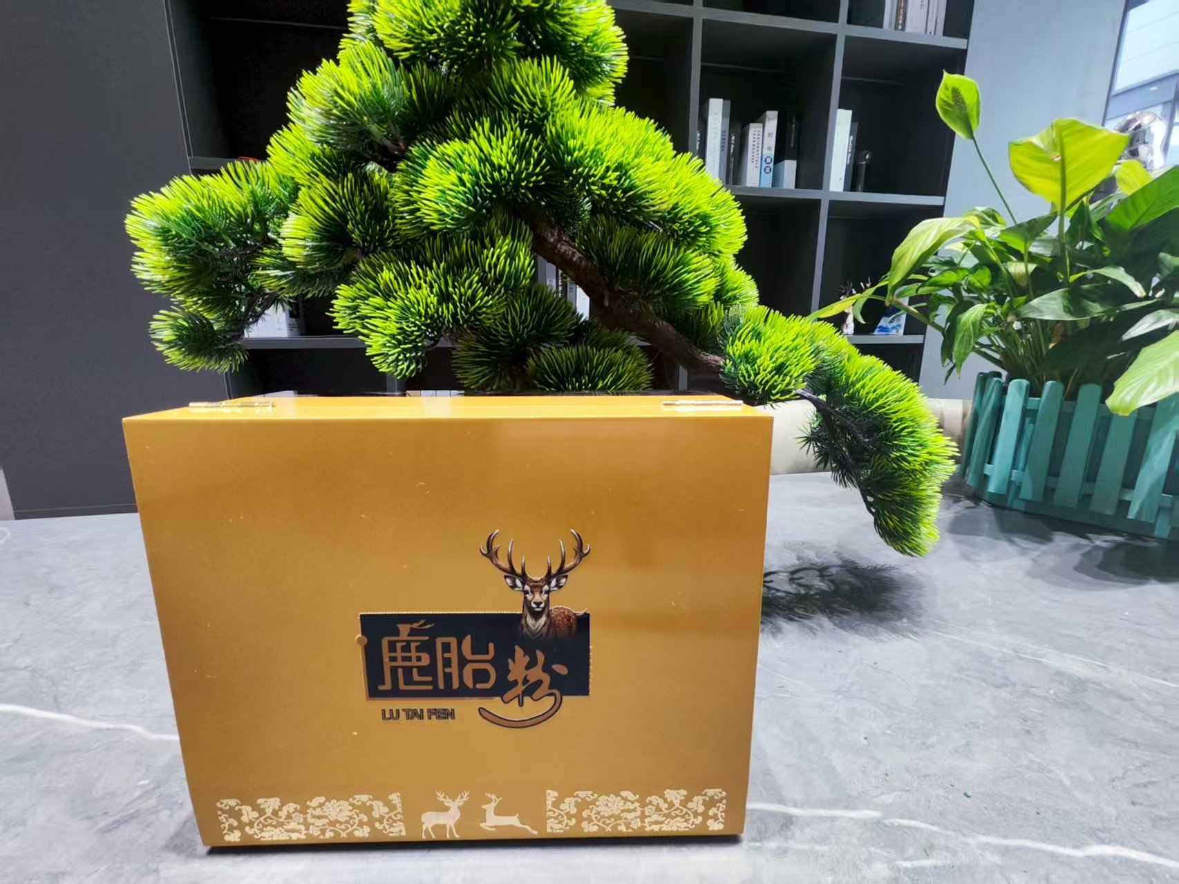 养生珍品 鹿胎粉