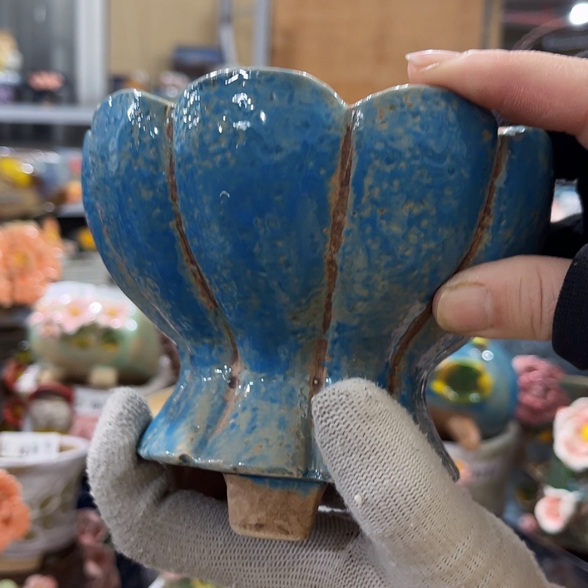 【闪购商品】红陶福利