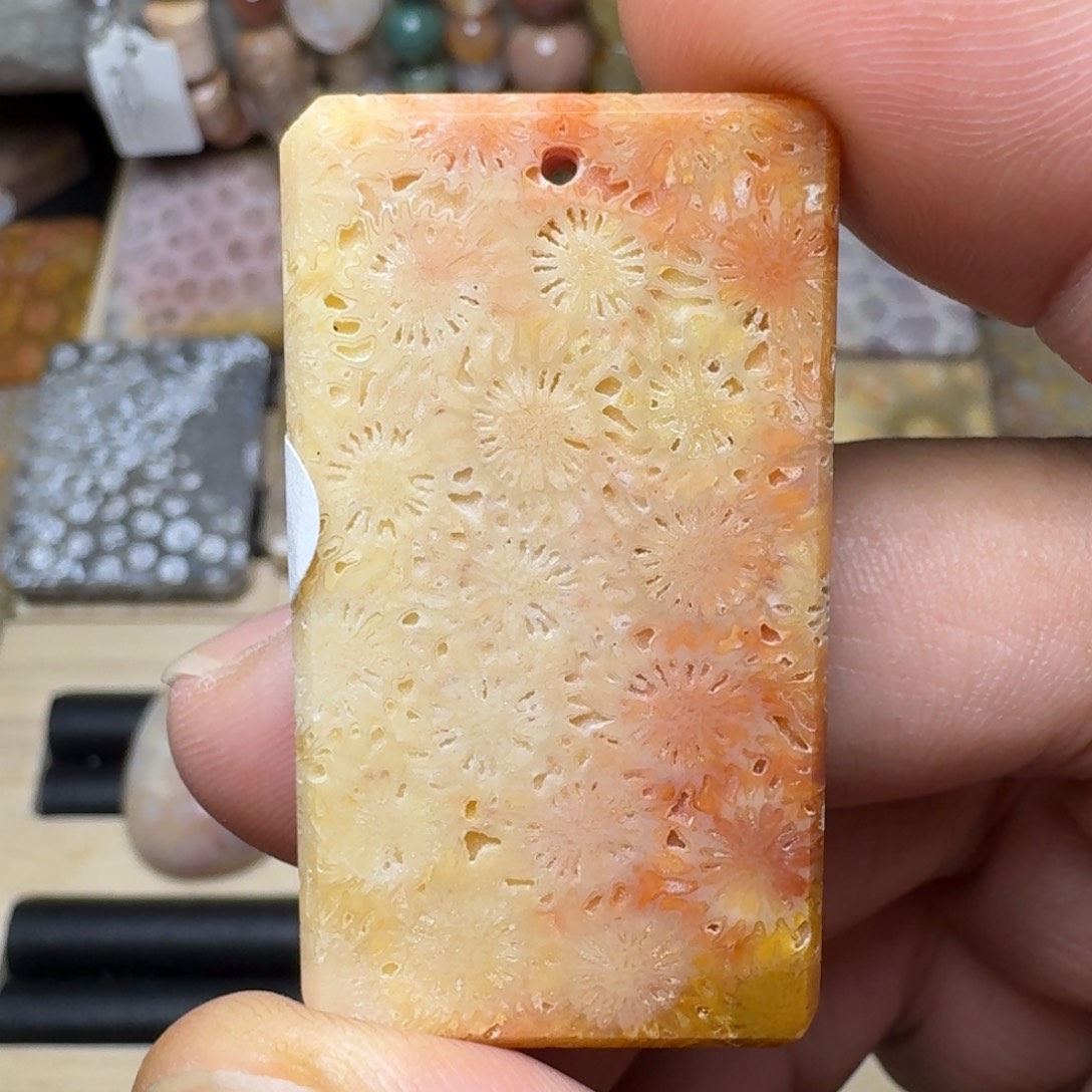 硅化玉未镶嵌纯天然色有机玉石保真色骨骼花