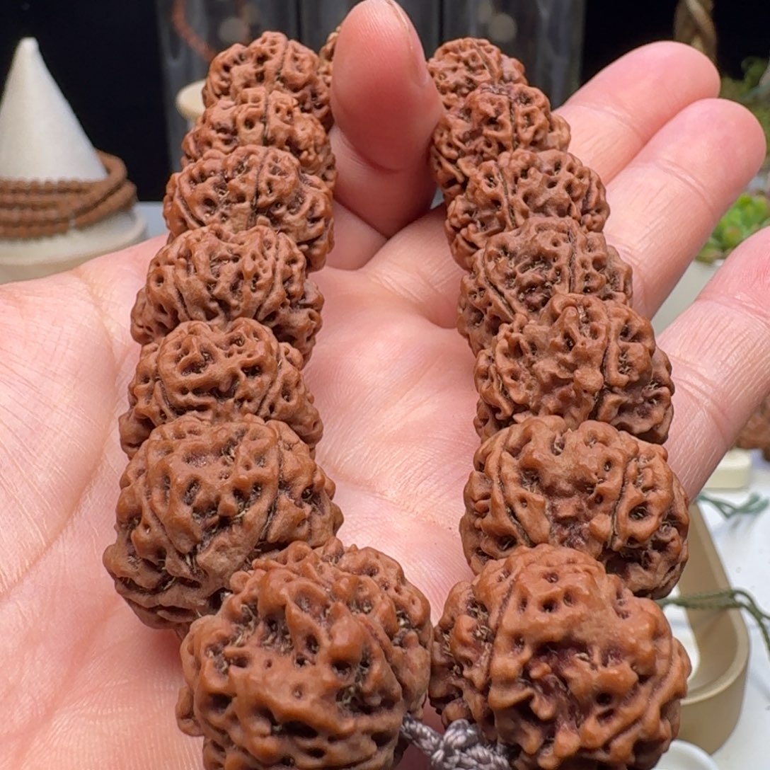 金刚菩提手串蜂窝双龙