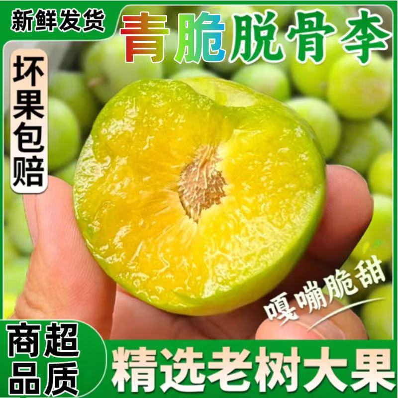贵州六脱骨李青脆李子脆甜爽口新鲜应季水果非蜂糖李