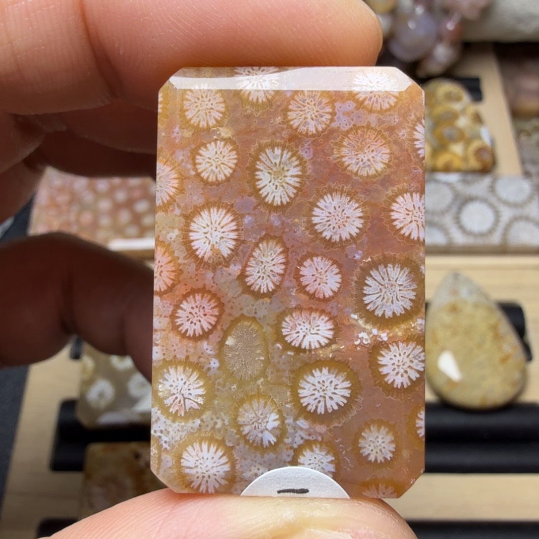 硅化玉未镶嵌天然色有机玉石保真色