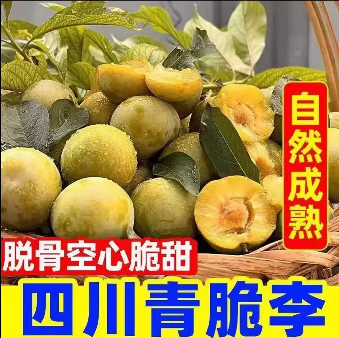 四川高山半边红脱骨李子新鲜采摘现摘现发应季水果酸甜多汁