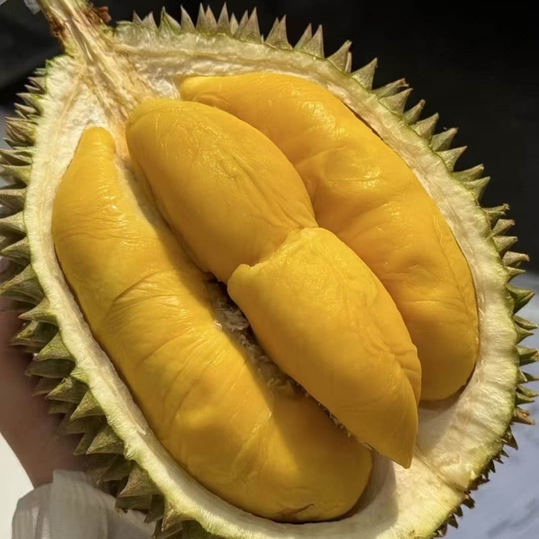 新鲜空运马来西亚猫山王D197/黑刺一果一重核小个别偏大颜色黄奶香甜回甘微苦是特色猫山王马来西亚