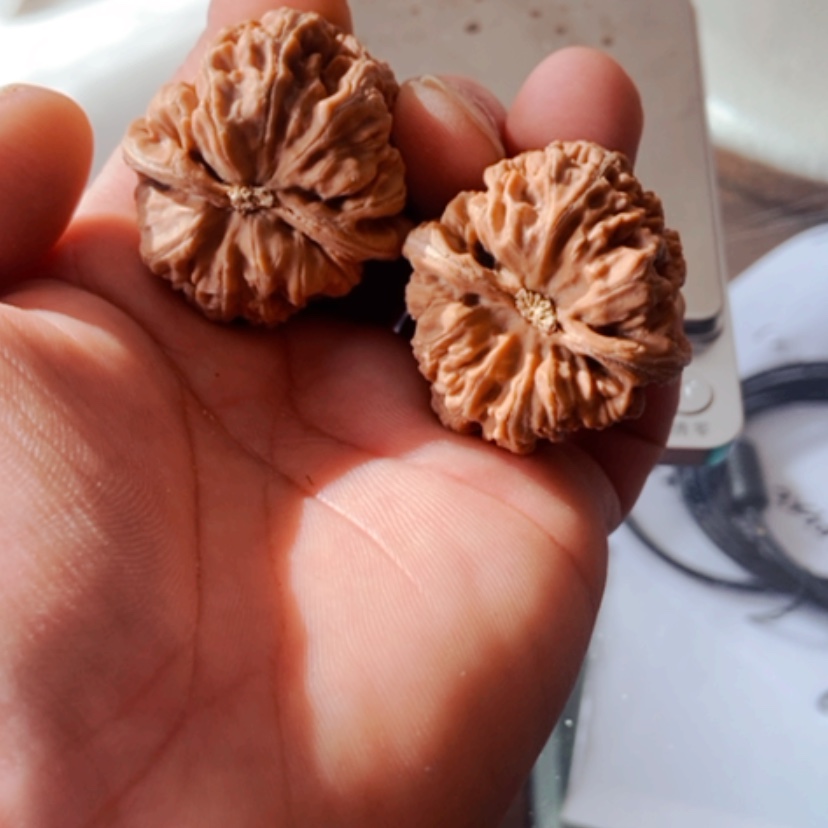 【闪购商品】花***痕37全品无修大粗筋尺寸