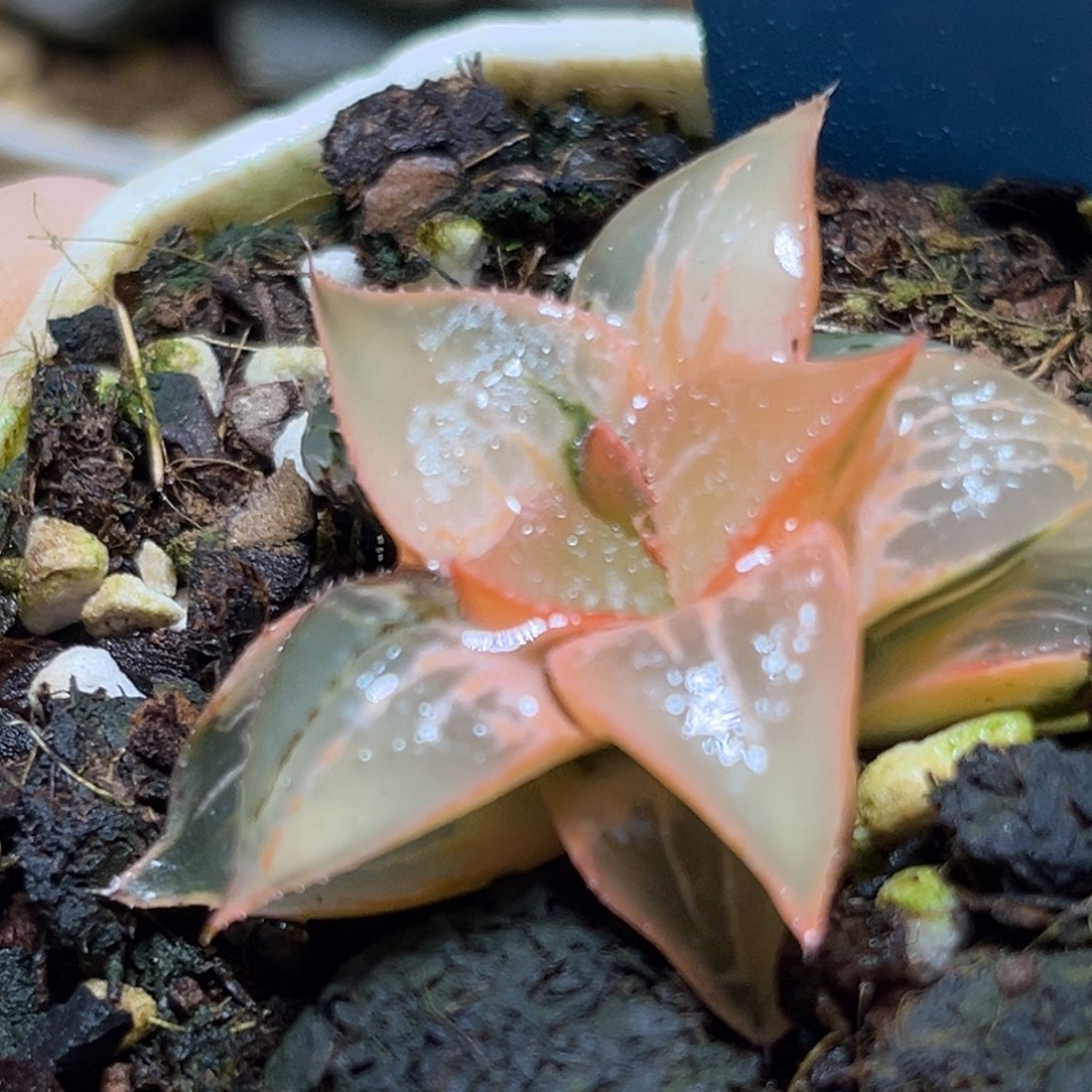 恭喜发财大吉大利0406