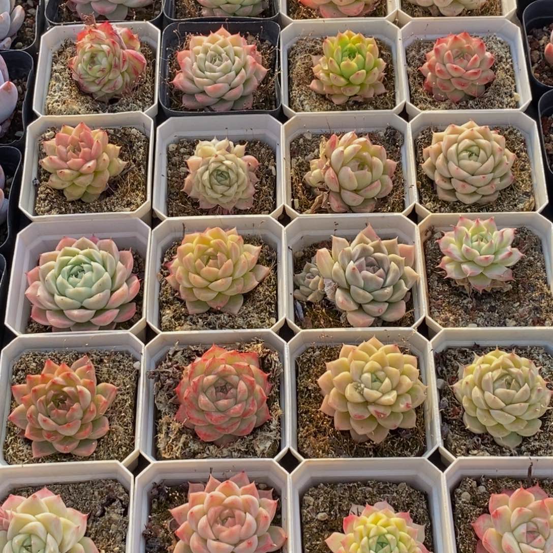 362多人在一起的时候就