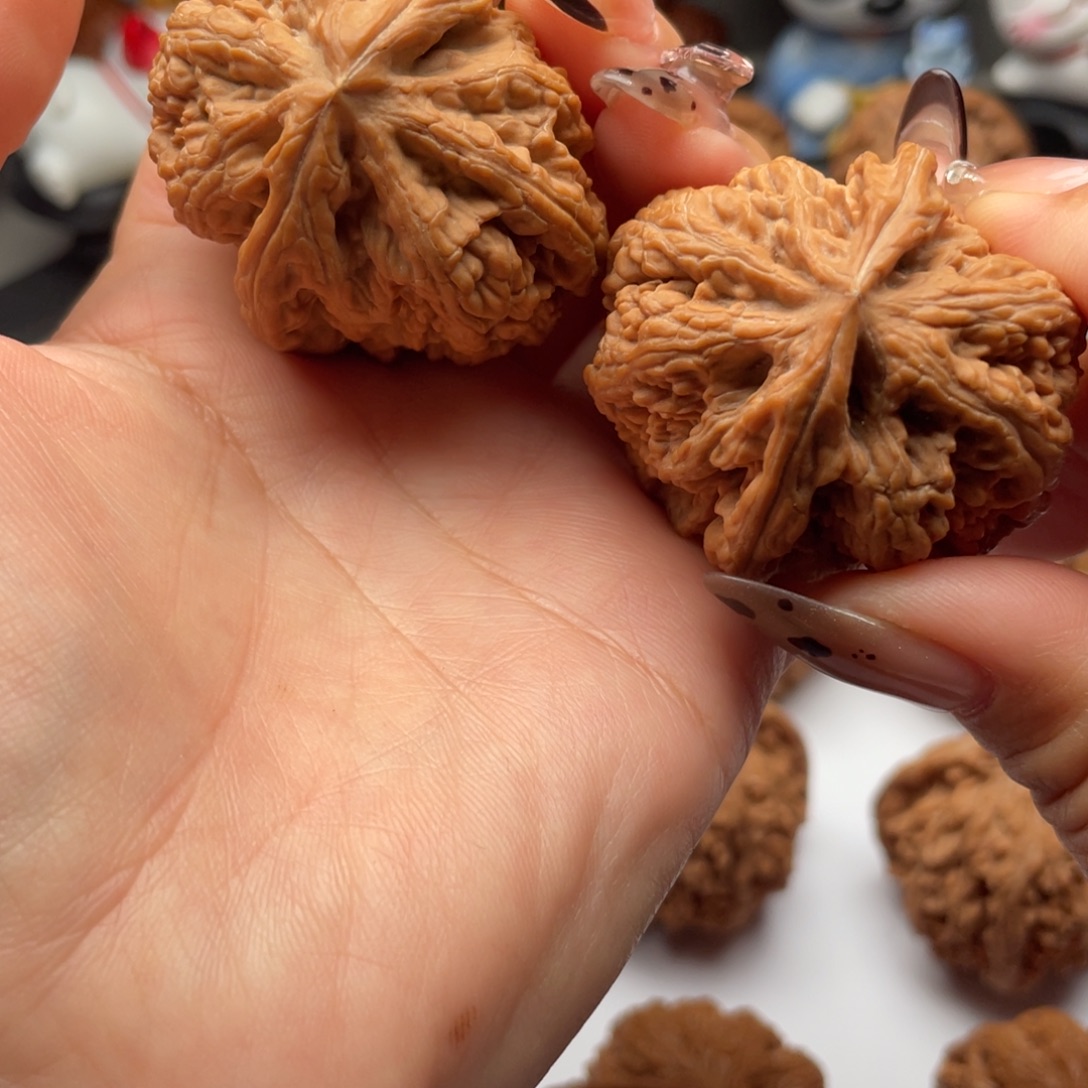 文玩核桃大粗筋40