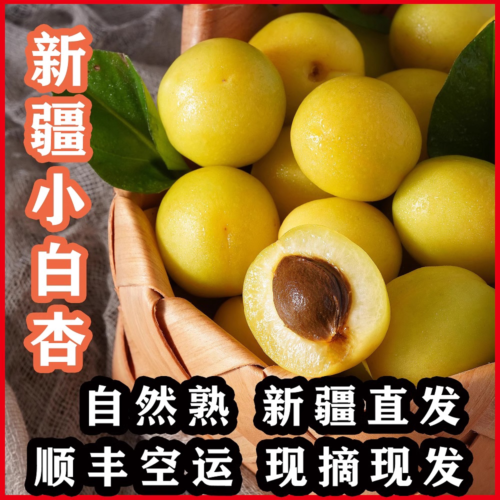 （疆小播专属）新疆轮台小白杏香甜软糯现摘现发顺丰包邮产地直发