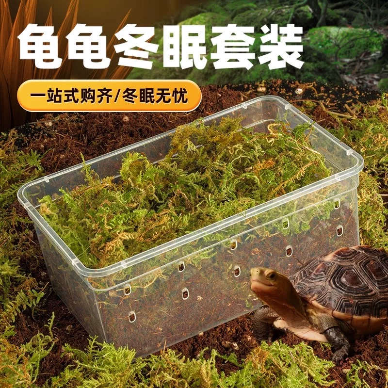 乌龟专用冬眠套装冬眠箱椰砖椰土饲养箱过冬用品保温盒爬宠饲养盒