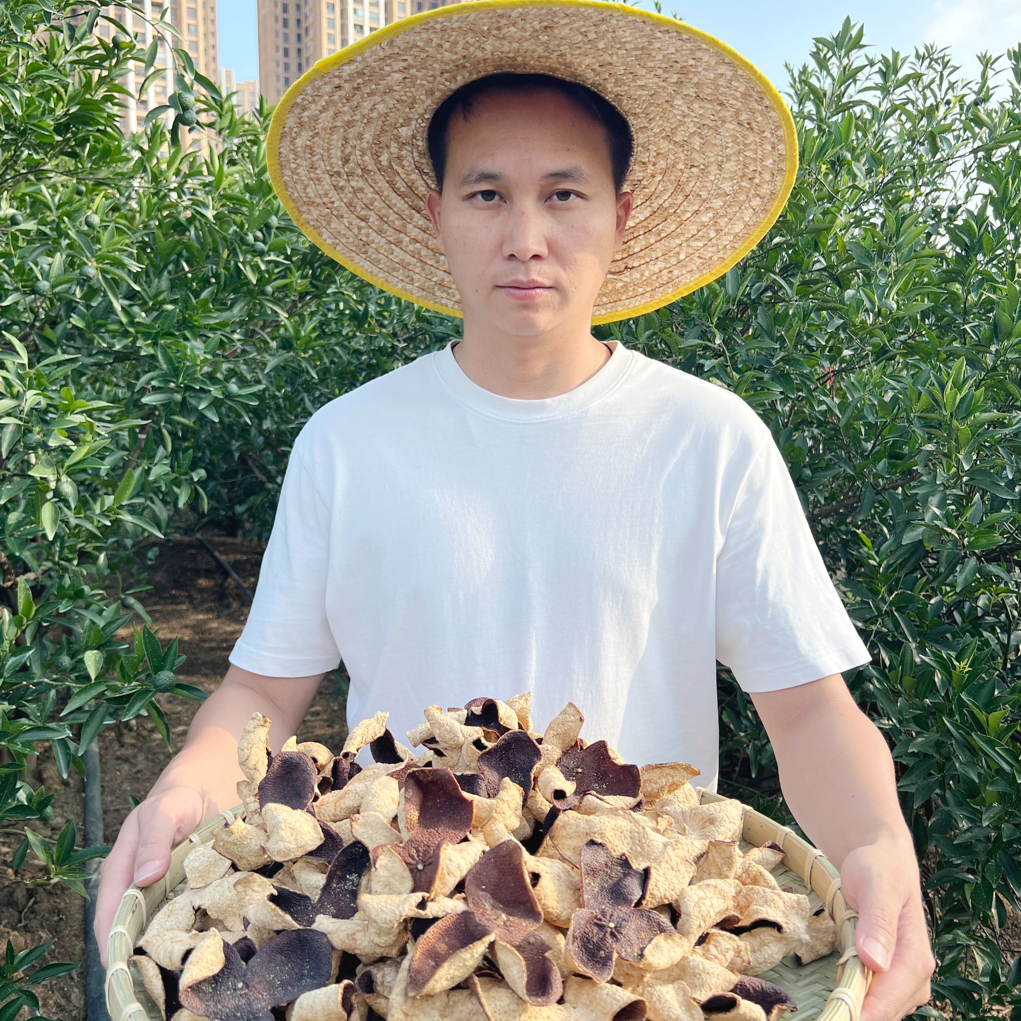 【初恋皮】梅江2019年黎大九围新会陈皮冬后大红皮纯甜无酸 蜂蜜甜