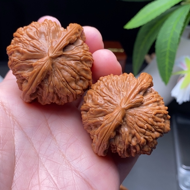 文玩核桃把件白狮子45.5