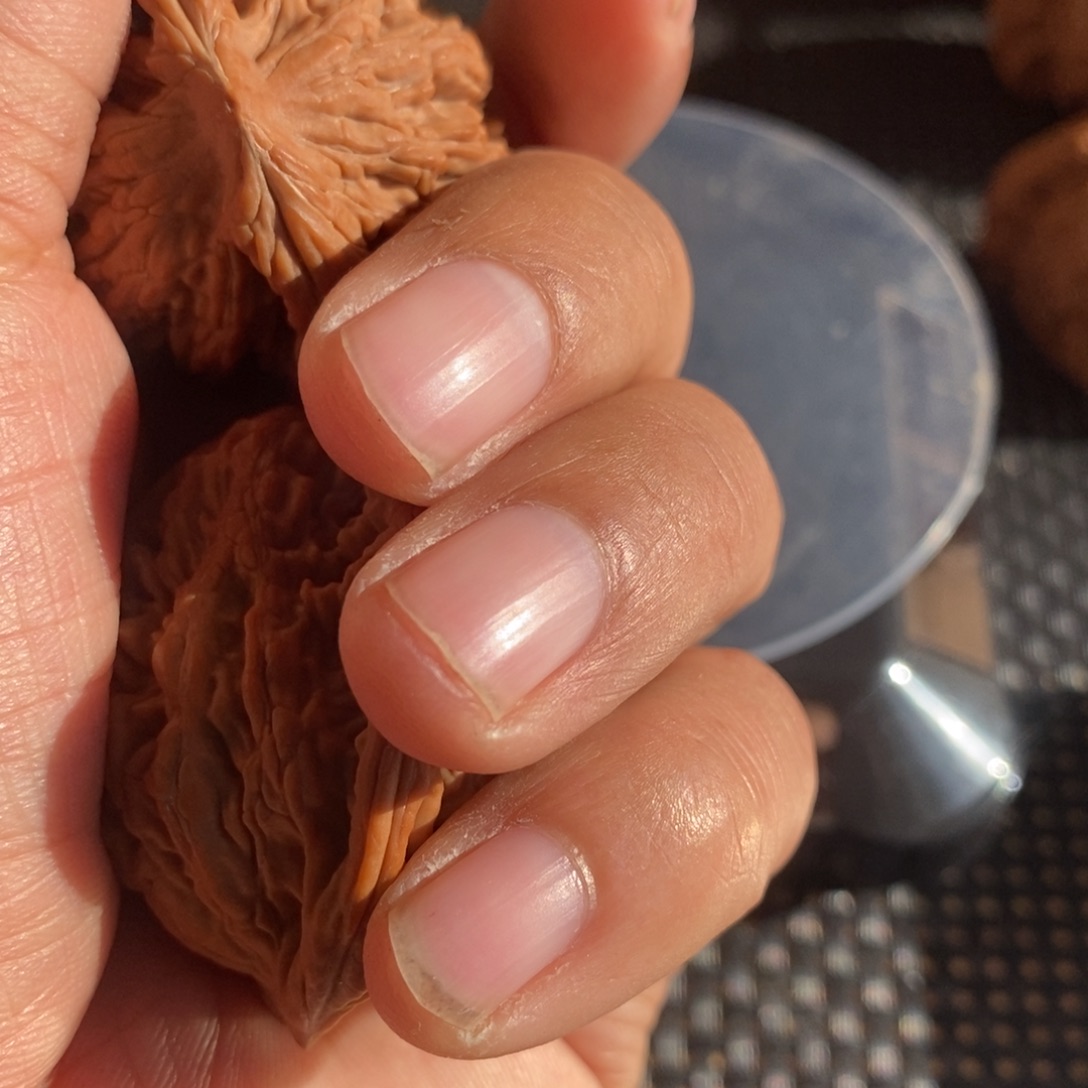 *****大叶紫檀（黑酸枝木类）虎头