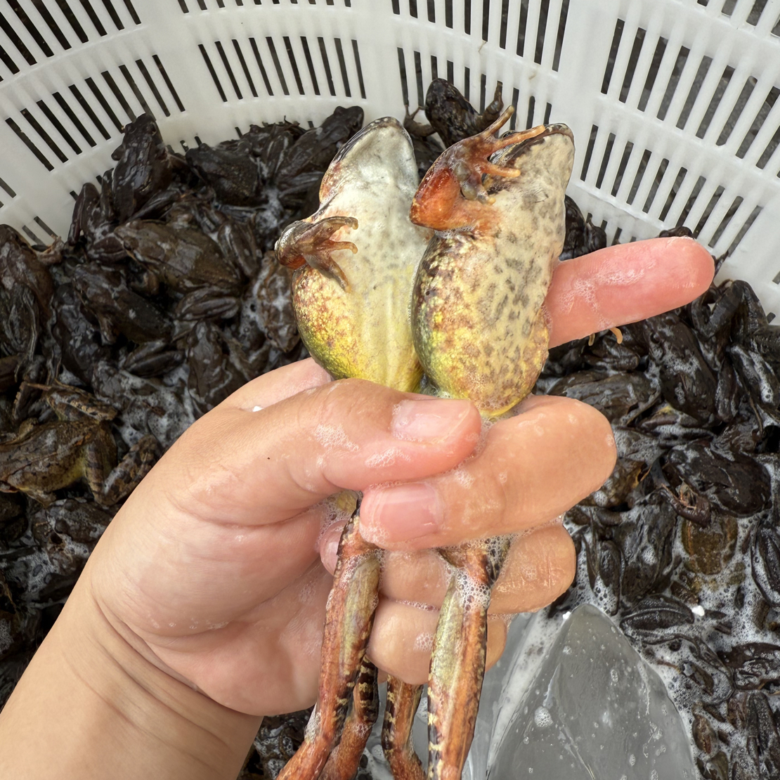 东北公河鲜 送东北大酱