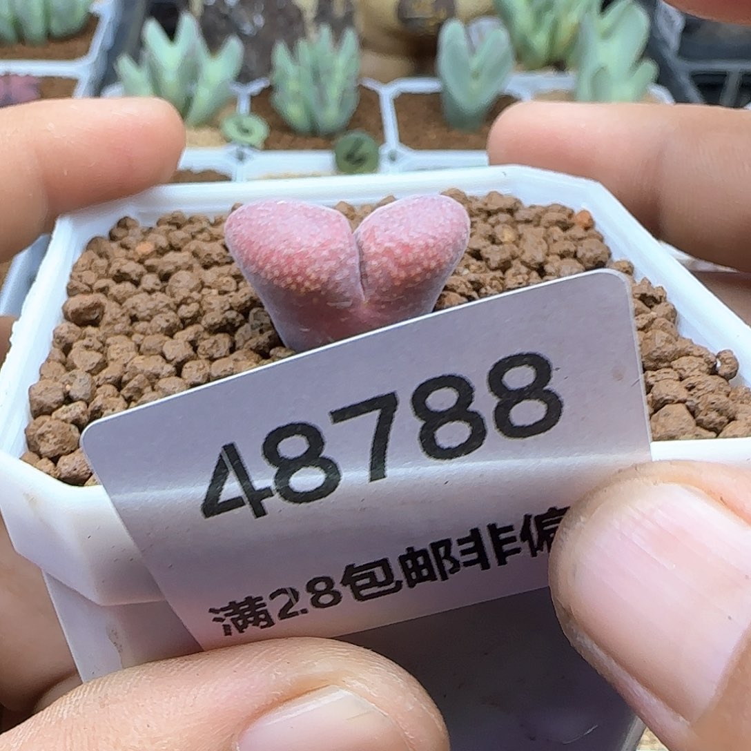 莱***莱哈哈哈哈哈哈哈48788