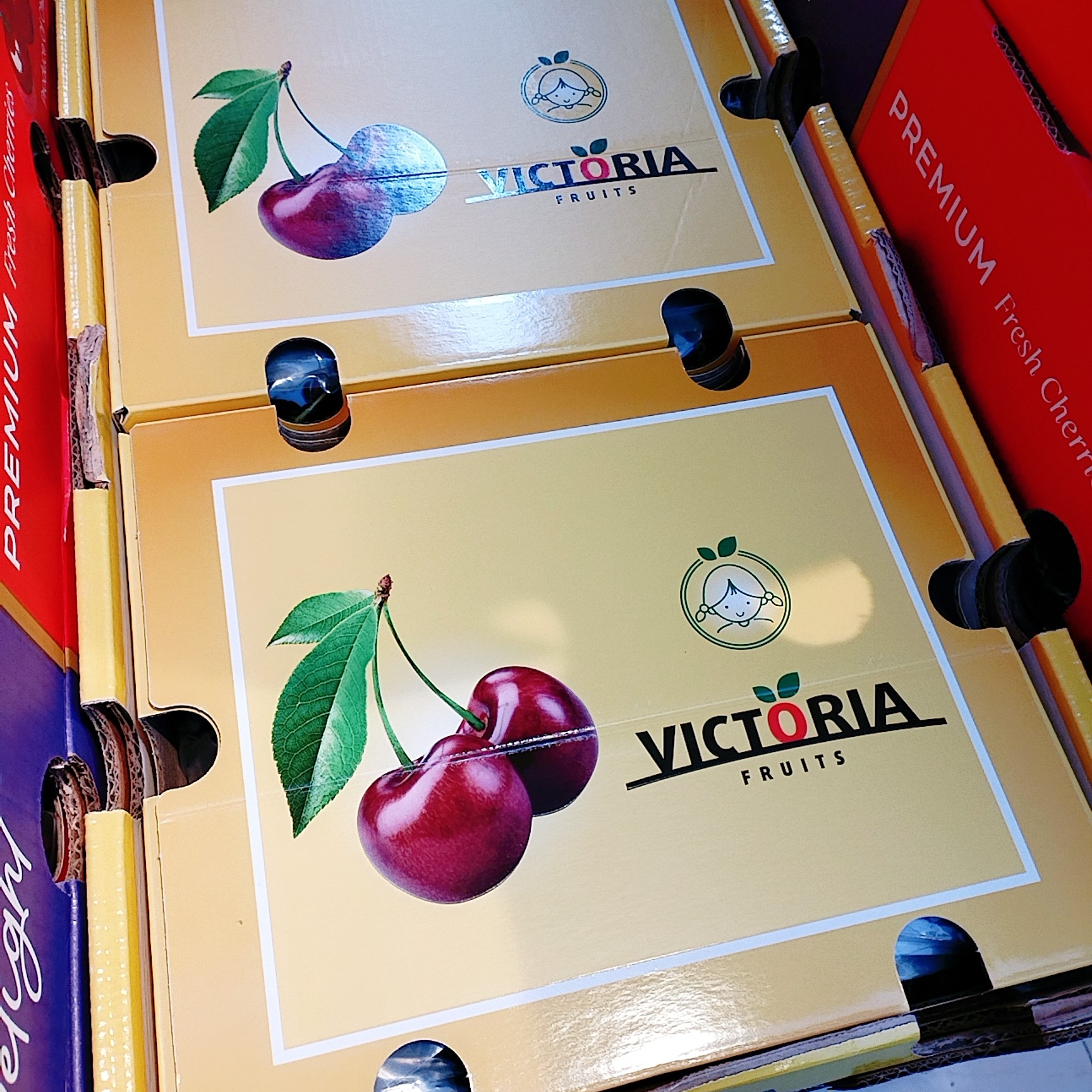 智利空运进口的2JD桑缇娜皇车厘子1箱5斤桑提娜智利