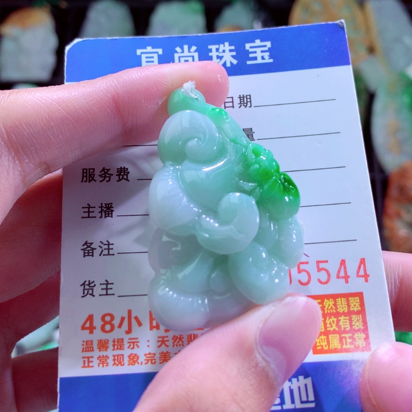 【闪购商品】翡翠颈饰未镶嵌挂件