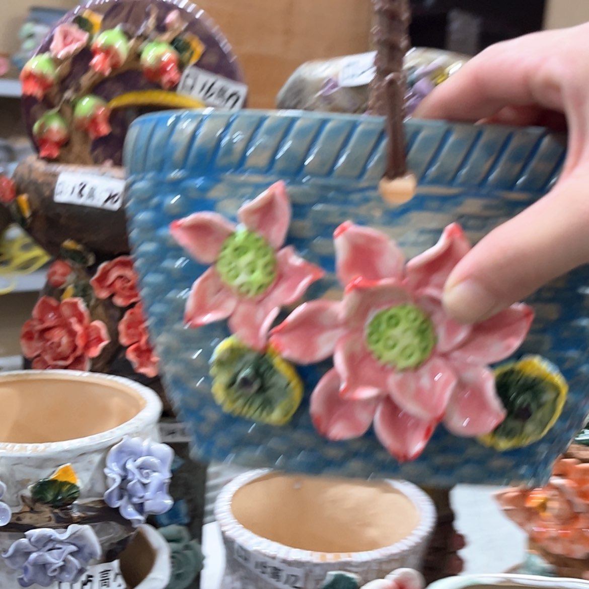 【闪购商品】红陶福利