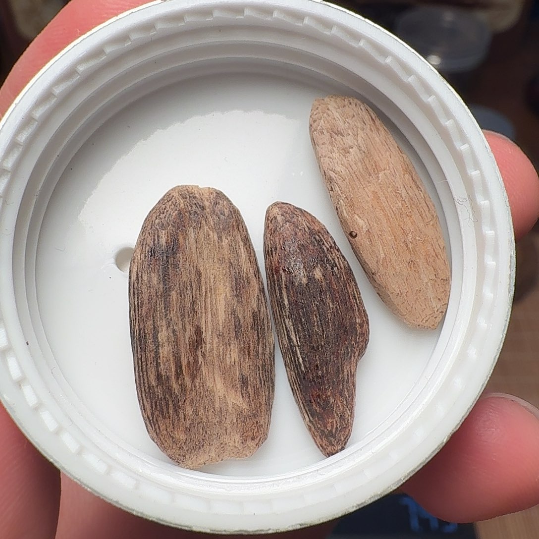 沉香海南黄油格瓜子