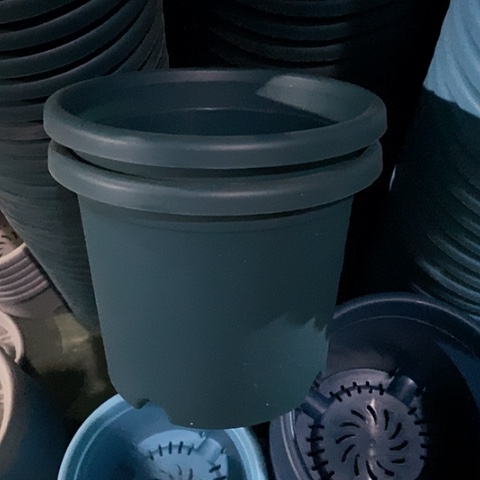 树脂四季3号军绿无托10个微瑕