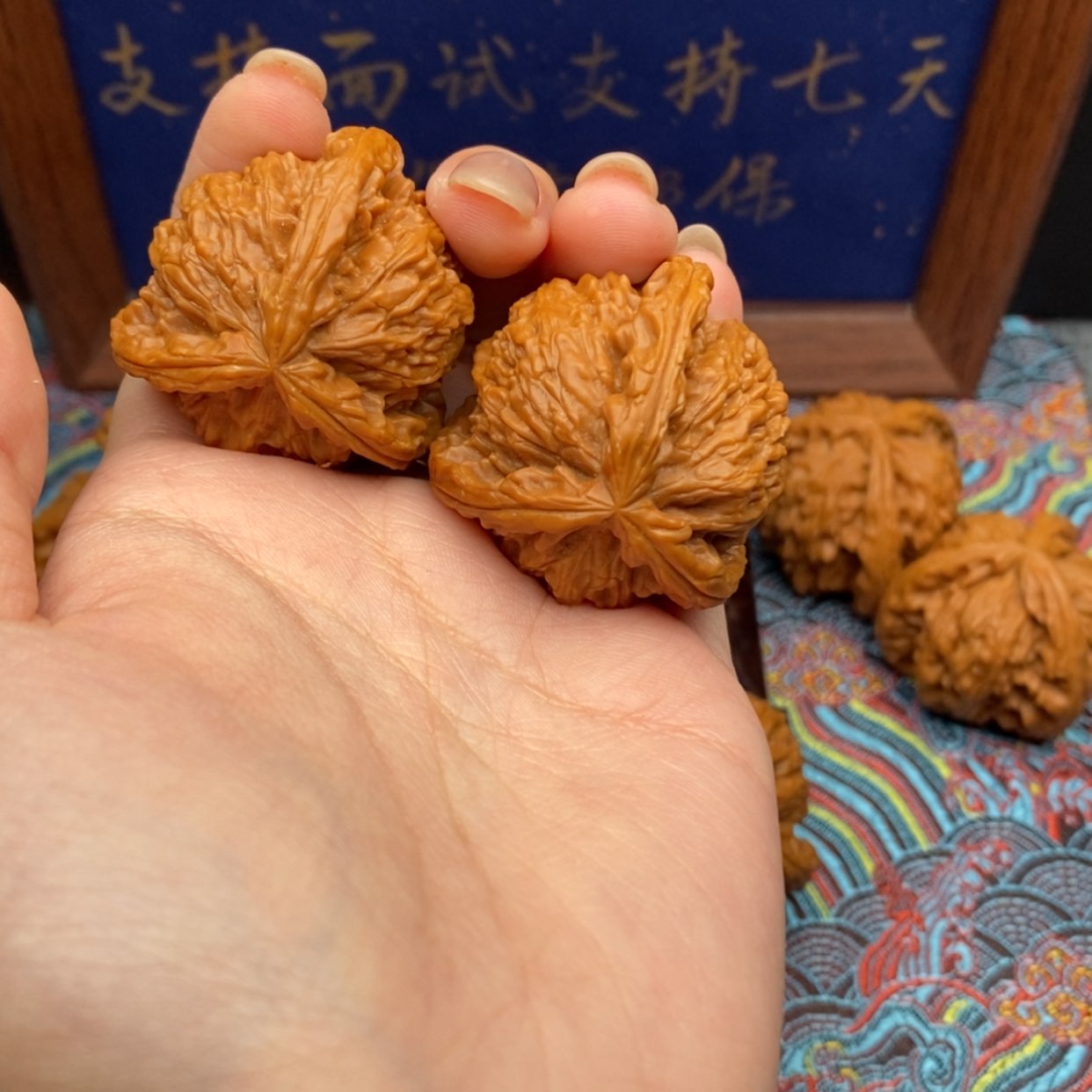 【闪购商品】老*白狮