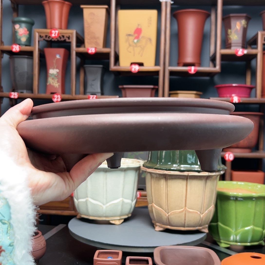 紫砂花盆白*生紫砂花盆