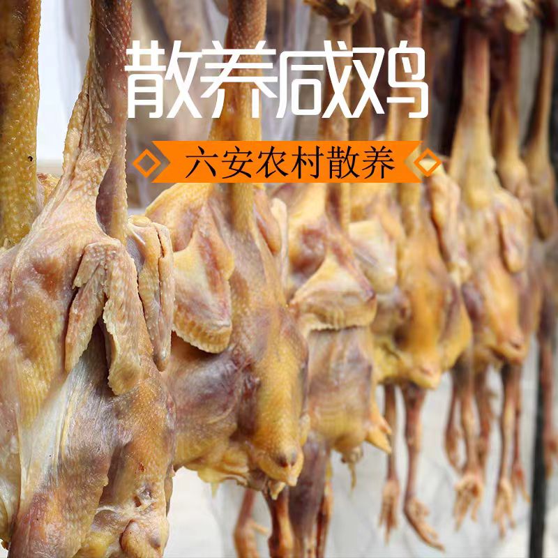 大别山3年风干黄油老母鸡腊味咸鸡六安农家散养咸鸡整只99元2只包邮特产风干腊鸡咸鸡手工腌制咸鸡年货